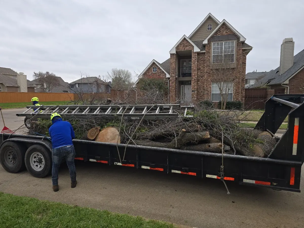 Expert Tree Pest Control with proper safety equipment in Culver